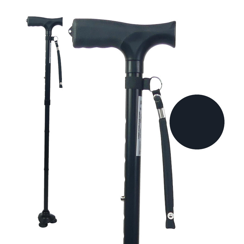 Canne fixe, Avignon, Vaucluse