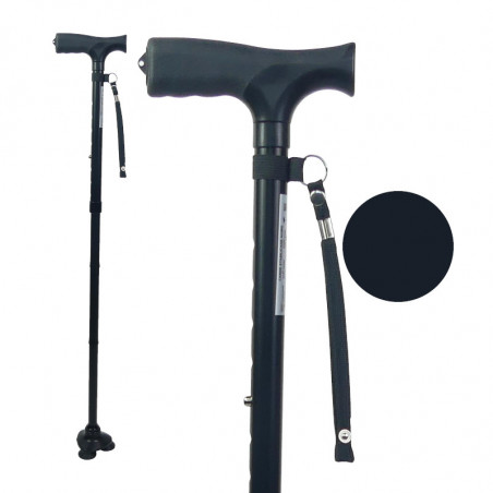 Canne fixe, Avignon, Vaucluse