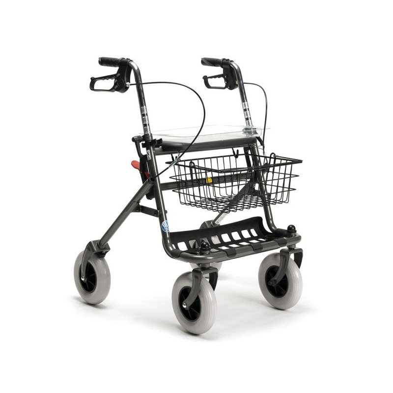 Rollator 4 roues, Avignon, Vaucluse